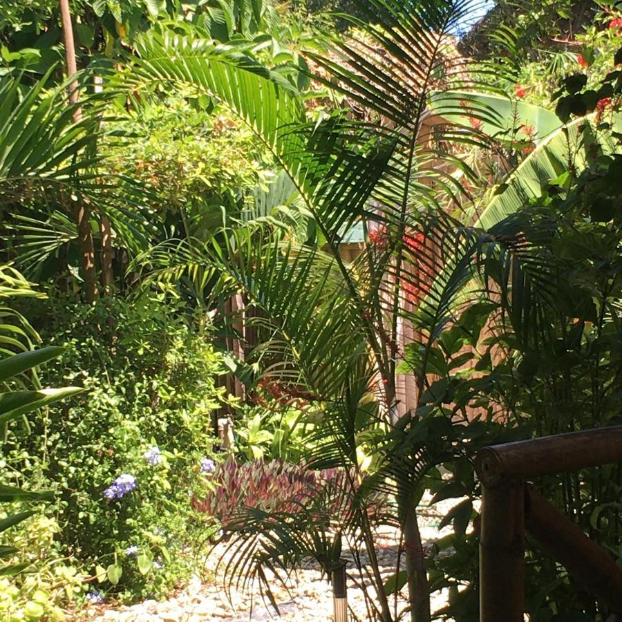 Casita Madame Hotell Puerto López Exteriör bild