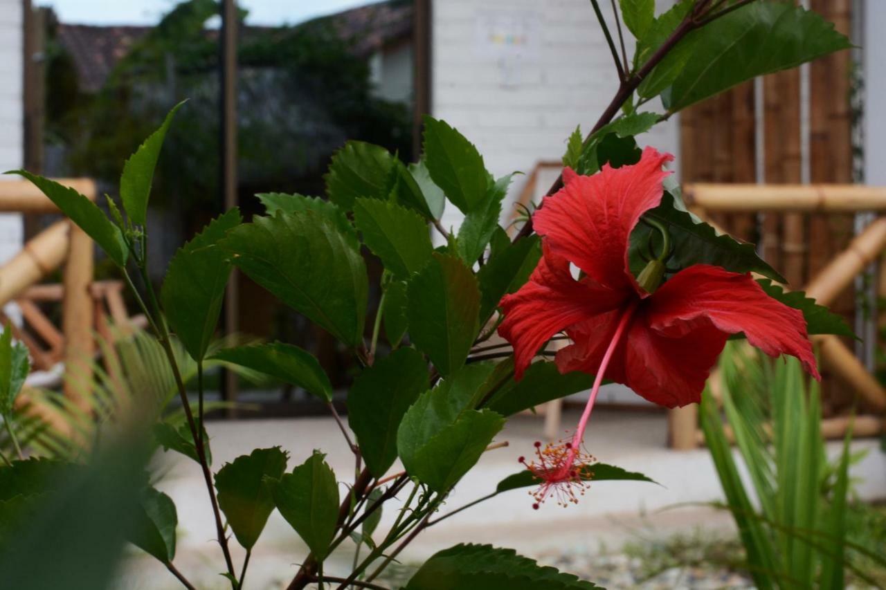 Casita Madame Hotell Puerto López Exteriör bild